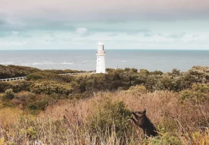 Walking Tracks Cape Otway Lightstation