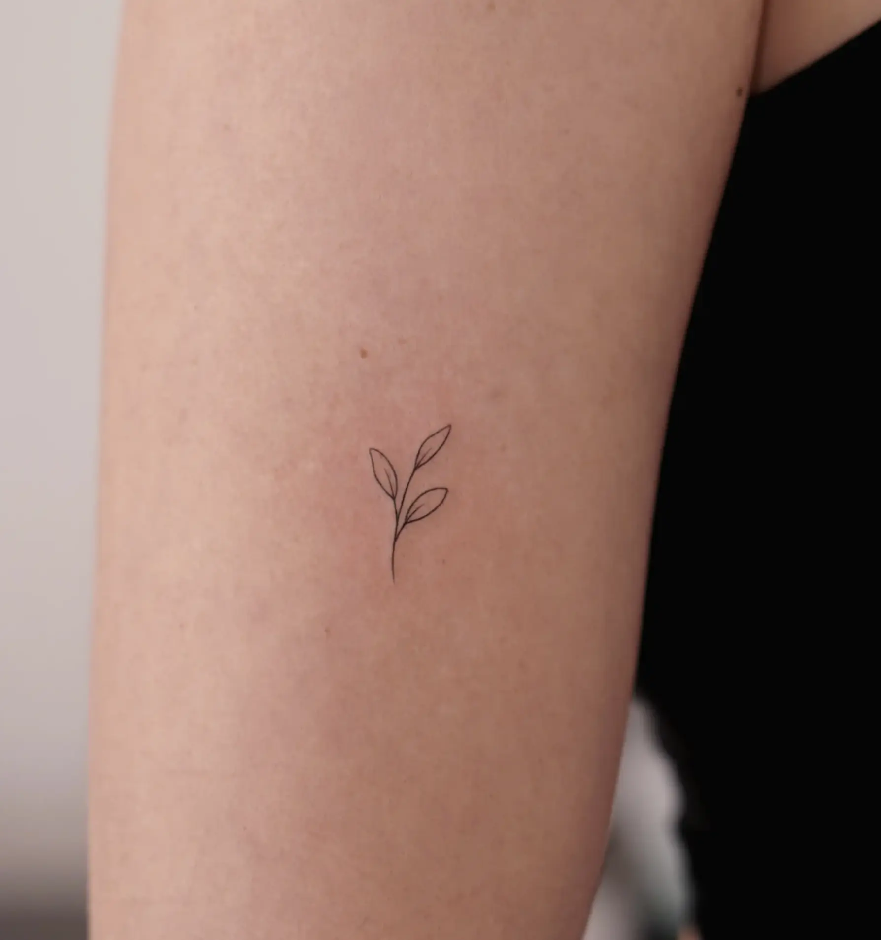 fine line tattoo aftercare