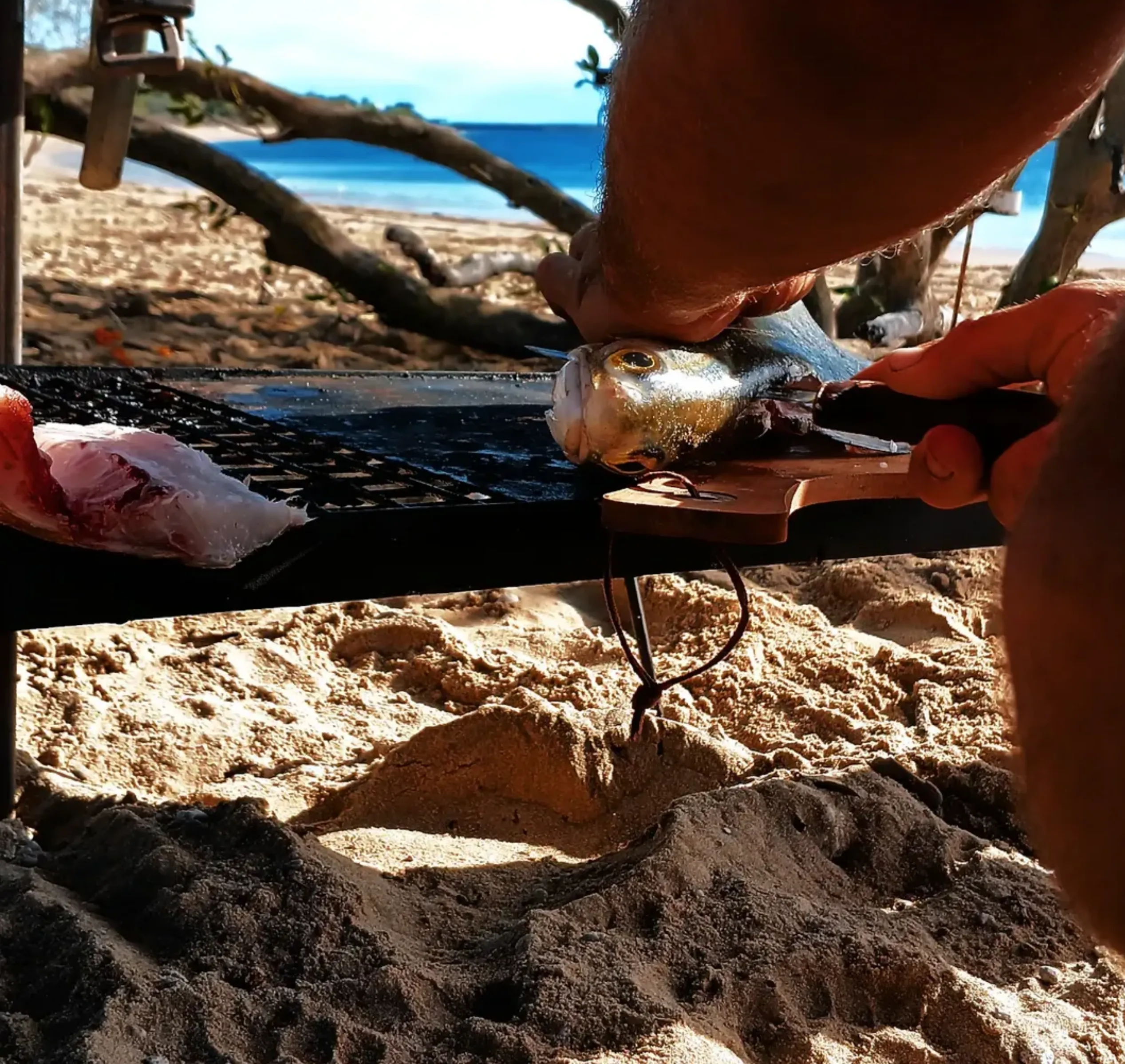 Queensland crocodile safety tips