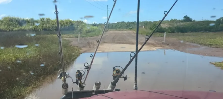 saltwater crocodile safety